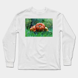 Squashes in a bucket Long Sleeve T-Shirt